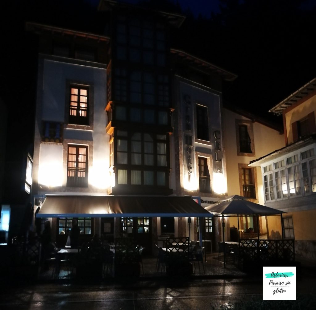 Gran Hotel Rural Cela