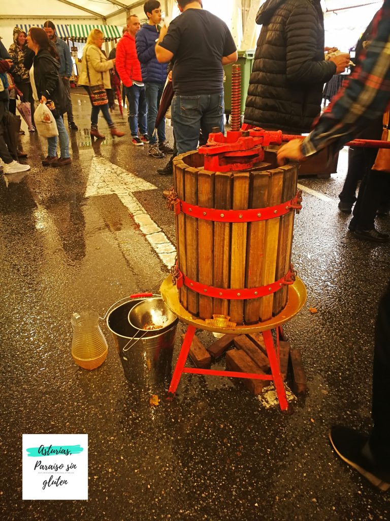 Maya sidra duerno Belmonte