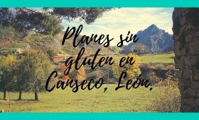Planes_sin_gluten_Canseco