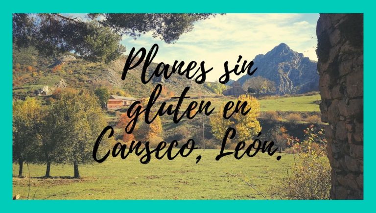 Planes_sin_gluten_Canseco