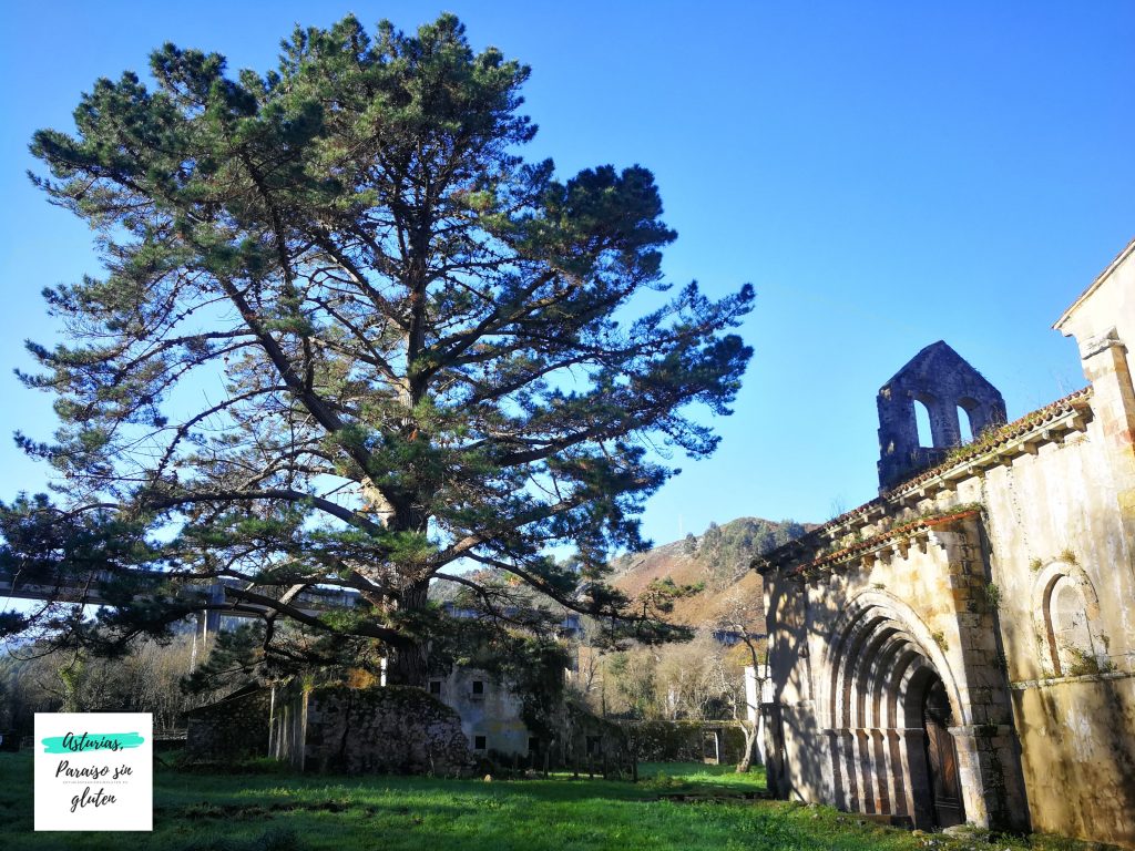 San-Antolin-de-Bedon-Entorno