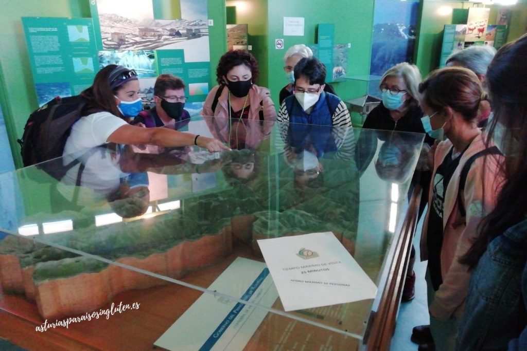 Centro_Interpretación_Somiedo