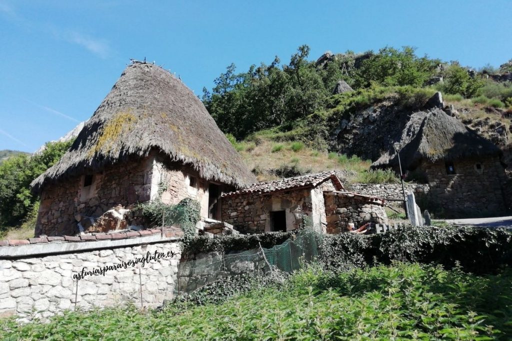 Ecomuseo_Somiedo_La_Casa