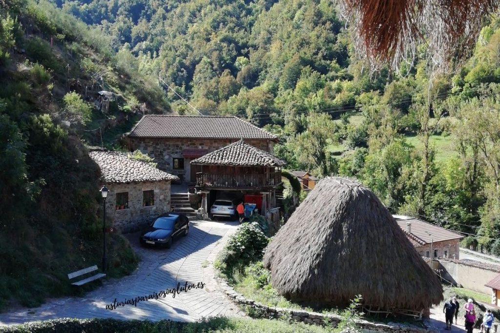 Teitos_Ecomuseo_Somiedo